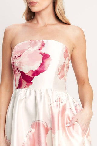Ivory Coral Maxi Dress