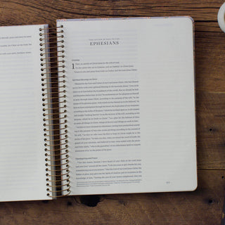 ESV Spiral-Bound Journaling Bible, New Testament