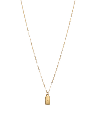 Mini Dog Tag Necklace